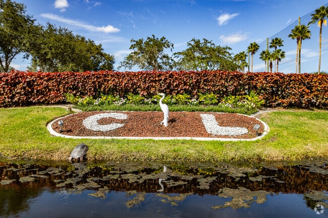 A large turtle inspecting the beautiful logo of Crane Lakes.