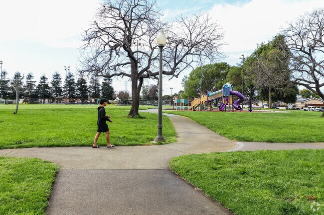 A solitary man enjoys a reflective walk in the serene Mt. Eden Park.