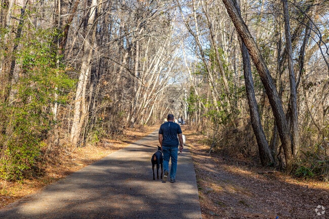 You can take your pet on a hike through the many trails Vinings has to offer.