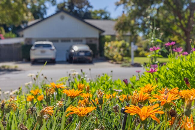 Stonehouse is full of natural beauty.