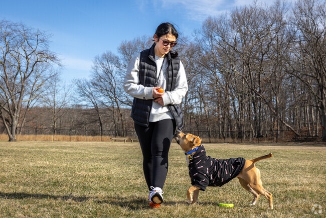 The open spaces at Rockaway Valley Aerodrome Fields in Boonton Township, NJ are the perfect place for a walk or play with your canine friend.