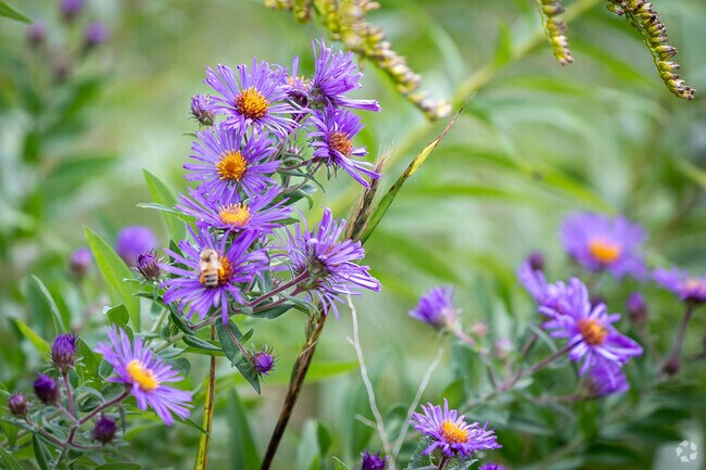 Living in Riverwoods is akin to residing in a woodland environment.
