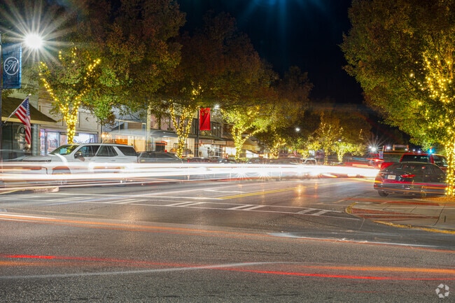 Beautiful string-lit trees line the streets of downtown Monroe as cars pass by.