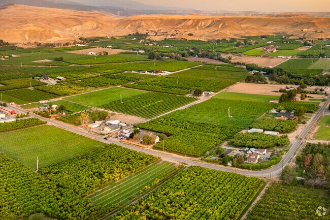 Explore the scenic vineyards of Grand Junction, where wine and beauty intertwine.