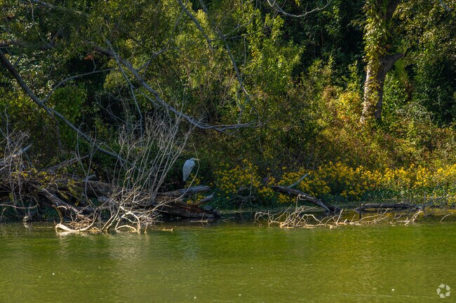 Willow Lake is a popular spot to enjoy nature in Green Acres.