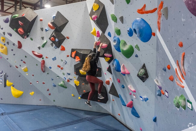 Find the perfect route at Proving Ground Bouldering Gym in Old Farm Lakes.