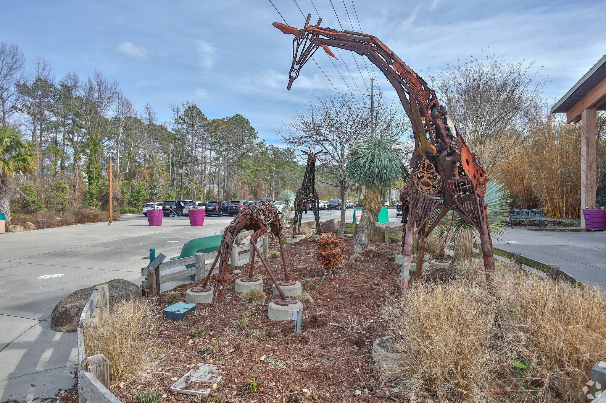 Have a fun family day at the nearby Riverbanks Zoo in Columbia.