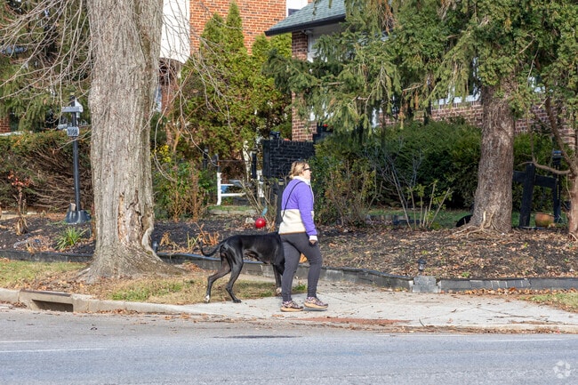 Pet owners enjoy walking on the well-maintained sidewalks of Beverly Hills.