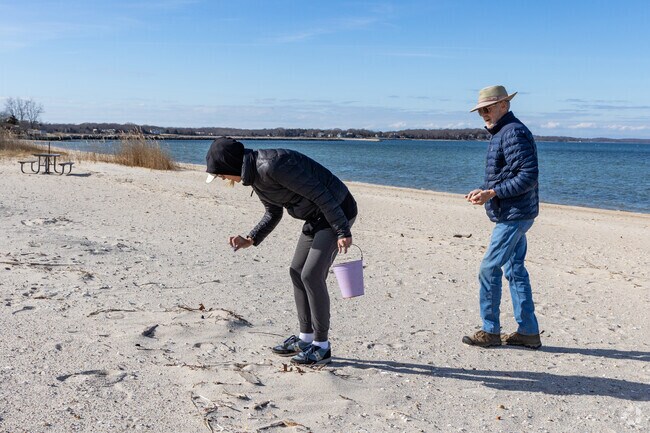 Cedar Point Park near Sag Harbor is popular for shell collecting.