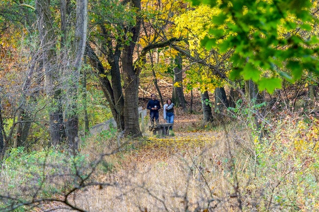 Asylum Lake Preserve is a beautiful place to take a walk in autumn.
