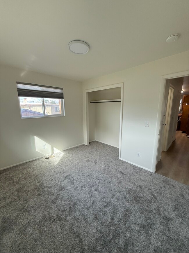New carpet (2nd bedroom)