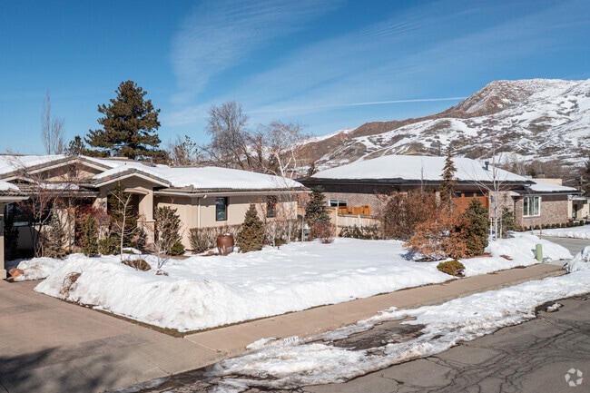 Row of homes in East Bench with mountain background.