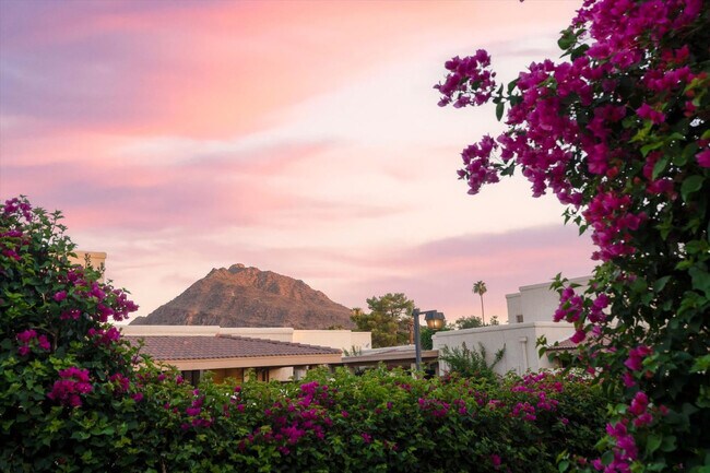 4525 N 66th St unit ID1255299P, Scottsdale, AZ 85251 - photo 7