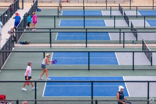 Play pickleball with friends at Bear Creek Regional Park near Midland-Westside.