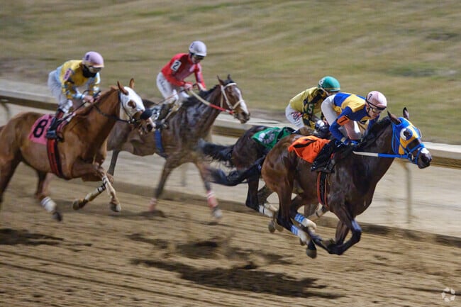 Catch an exciting race at the Charlestown Races on the border of Ranson and Charlestown.