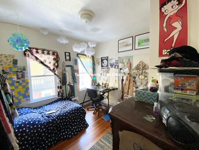 34 Darling St unit 2, Roxbury Crossing, MA 02120 - photo 3
