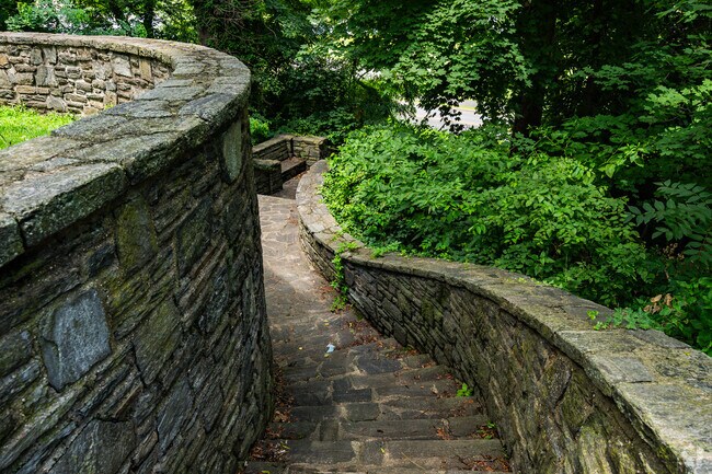 Discovering serenity in the heart of Collingswood, NJ.