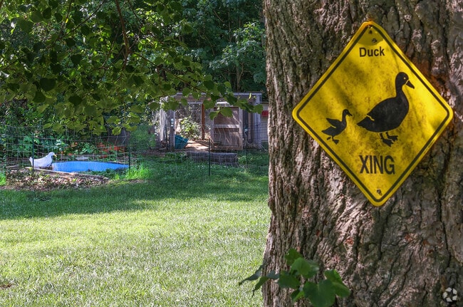 Residents in Groveland enjoy an abundance of spacious land, making it ideal for keeping pet ducks, horses, and other animals in a peaceful, rural setting.