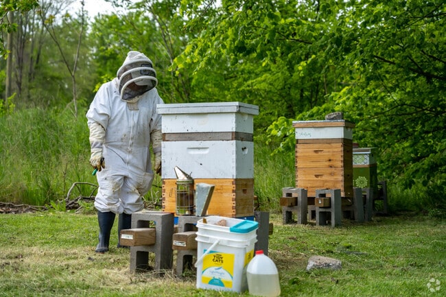 Conner Creek residents operate small community gardens and bee farms.