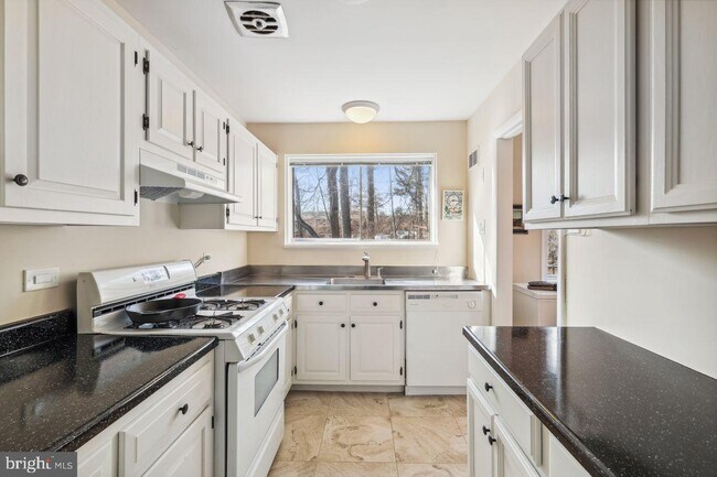 10600 Kenilworth Ave unit 203, Bethesda, MD 20814 - photo 6