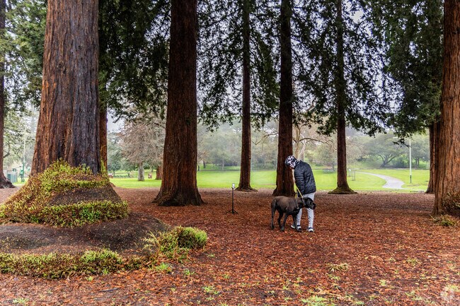The Central Reservoir Recreation Center in Meadow Brook is an excellent place to walk the dog.
