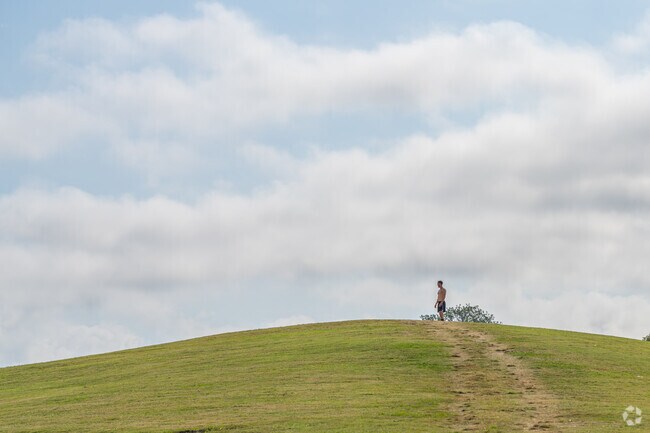 A young Greenbriar resident enjoys a view atop the Moncus Park hill.