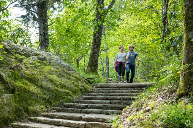 The Pisgah National Forest offers relaxing hikes for Avery Creek residents to enjoy.