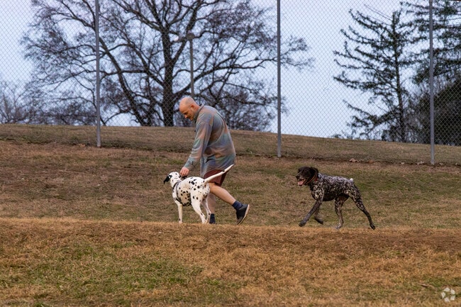 Head over to the nearby Joe LaPort Recreation Area to let the dogs run near Sycamore Shoals.