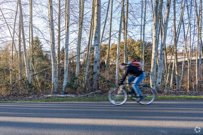 Cyclists ride through Bothell’s tree-lined streets near Canyon Park on a clear afternoon.