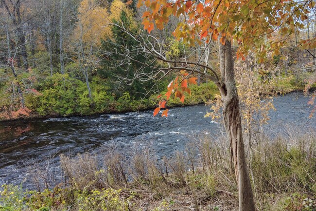 Ware River Park is a peaceful retreat or an adventure - filled day in Ware neighborhood.