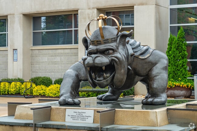 Duke Dog is the symbol of James Madison University pride in Old Town.