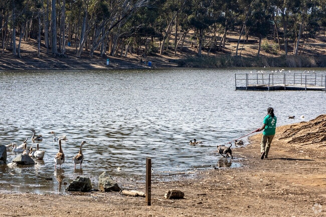 Walk your dog at the Chollas Lake Park near Lincoln Park.