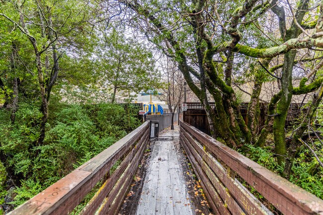 Brookside Elementary School has a creek running right by it in San Anselmo.