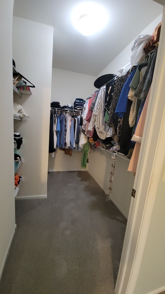 Master Bedroom Walk-In Closet
