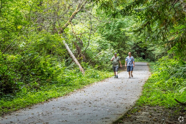 Take a walk through the beautiful redwood forest of Headwaters Forest Reserve in Pine Hills.