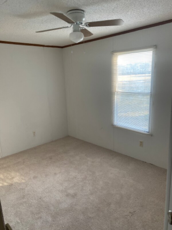 2608 New Hope Rd, La Grange, NC 28551 - photo 6