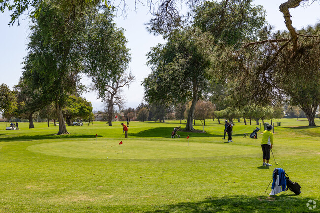 Practice your short game on the practice facilities at Chester Washington Golf Course in West Athens.