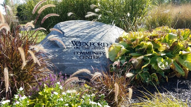 Welcome to Wexford