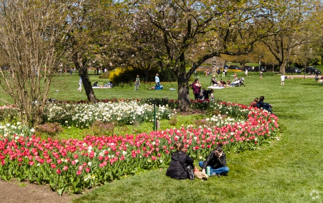 Locals from Radnor-Winston spend their days at Sherwood Gardens.