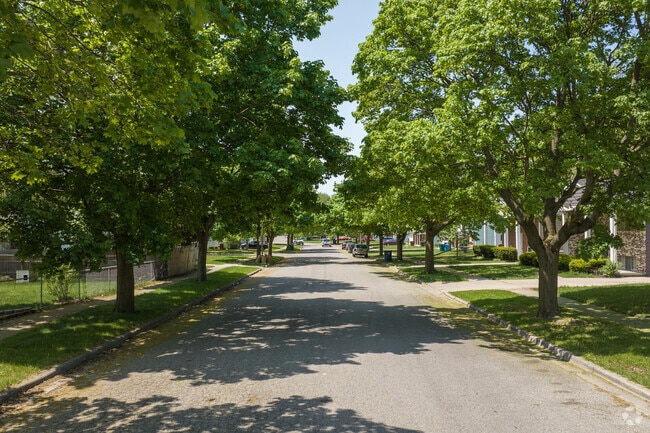 Malibu Drive in Averill Woods, Lansing, features tree-lined streets across from Averill Park.