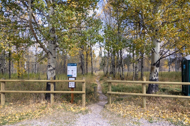 Lincoln Community River Park offers trails leading to the Blackfoot River.
