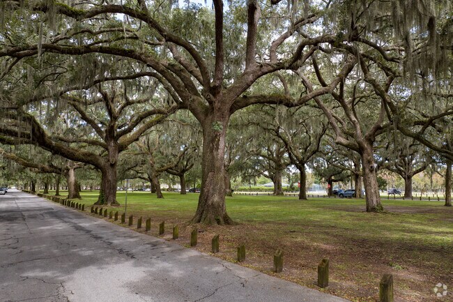 Daffin Park is full of large oak trees near Edgemere.