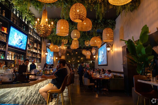 The interior at Zama Latin Cuisine features biophilic themed decor that gives a warm ambiance.