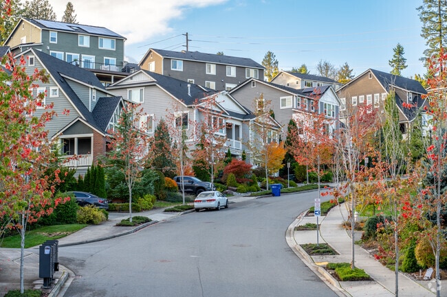 Canyon Park hillside lined with tightly spaced modern Craftsman houses.
