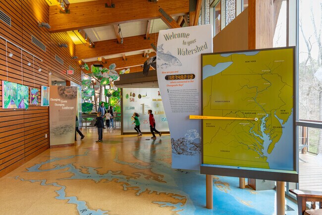 The colorful & interactive exhibits at The Robinson Nature Center makes it fun to learn.