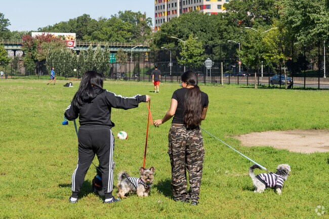 Soundview is a Bronx neighborhood with pet-friendly parks and green spaces.