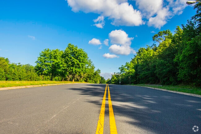 A scenic drive winds through the Friendly neighborhood, surrounded by mature trees and peaceful homes.