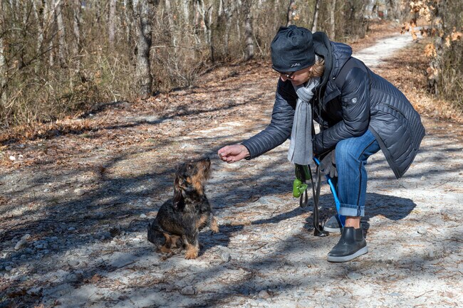 Westport Town Beach in Great Neck is a favorite spot for dog walks and salty breezes.