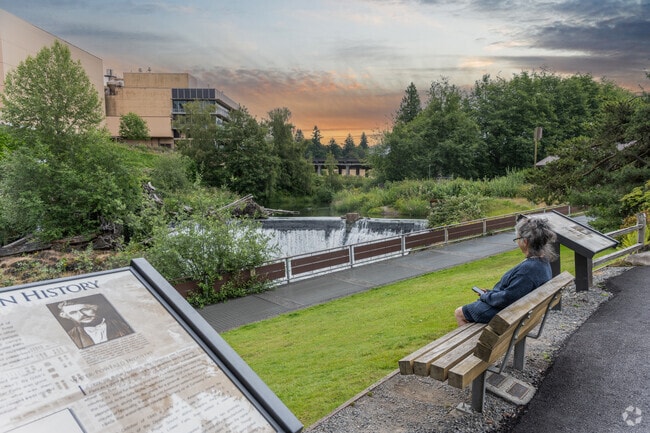In Tumwater Hill, you can watch salmon jumping out of the water during the annual salmon run.