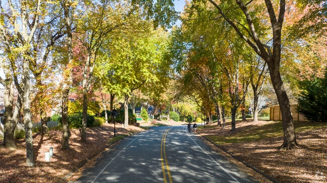 Beautiful tree lined streets everywhere in Huntscroft.